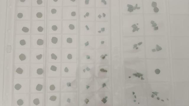 Las 30 monedas sin acuñar del siglo XVII en las Islas Columbretes.