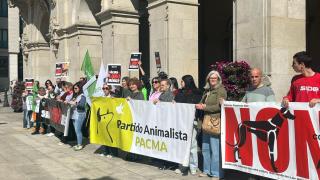 PACMA se manifiesta en A Coruña en defensa del lobo ibérico: No a la caza