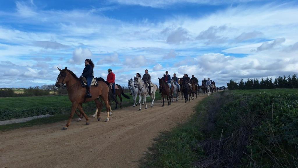 Camino flamenco en Morales del Vino