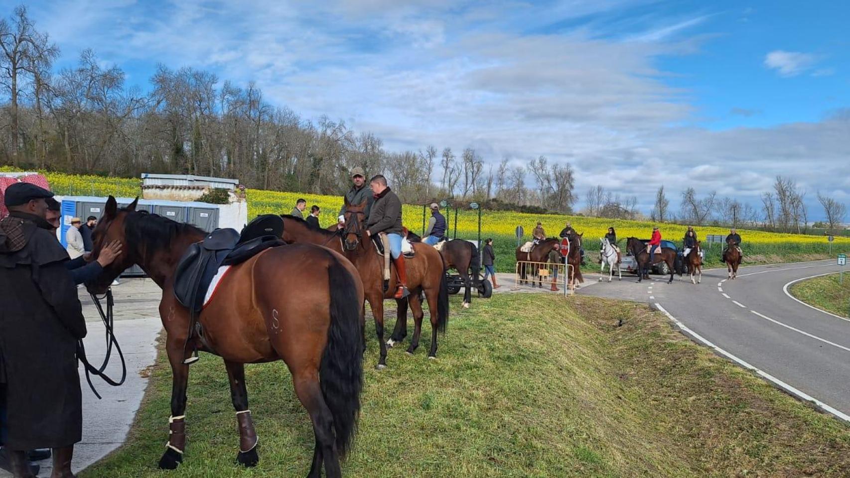Camino flamenco en Morales del Vino