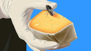 Captura de pantalla 2025-04-07 124323