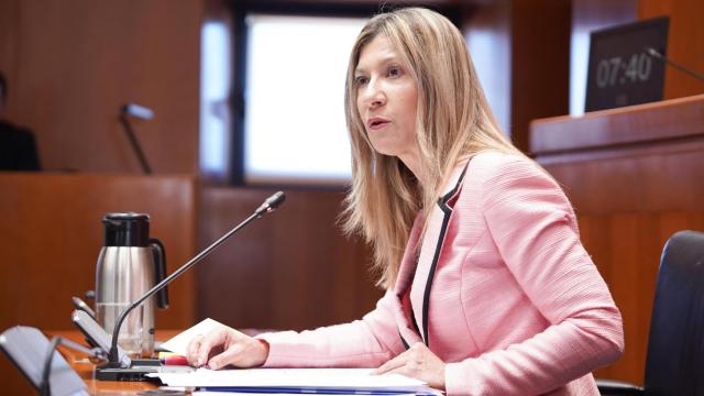 La vicepresidenta Mar Vaquero, en las Cortes de Aragón
