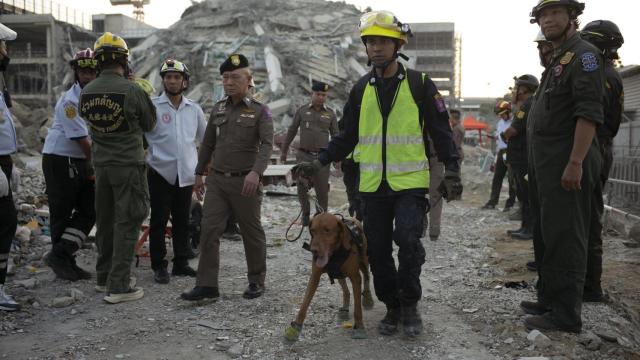 Inditex dona 400.000 euros para la atención a víctimas del terremoto de Birmania