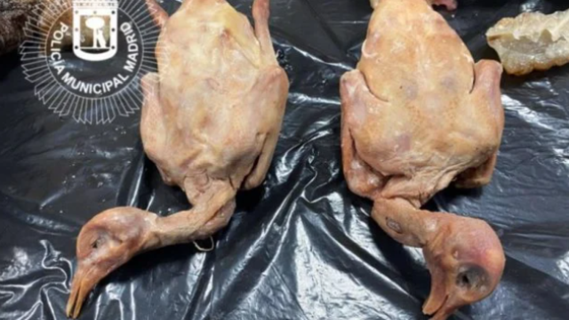 Cierran un restaurante chino que ofrecía carne de paloma como pato laqueado y almacenaba comida en mal estado