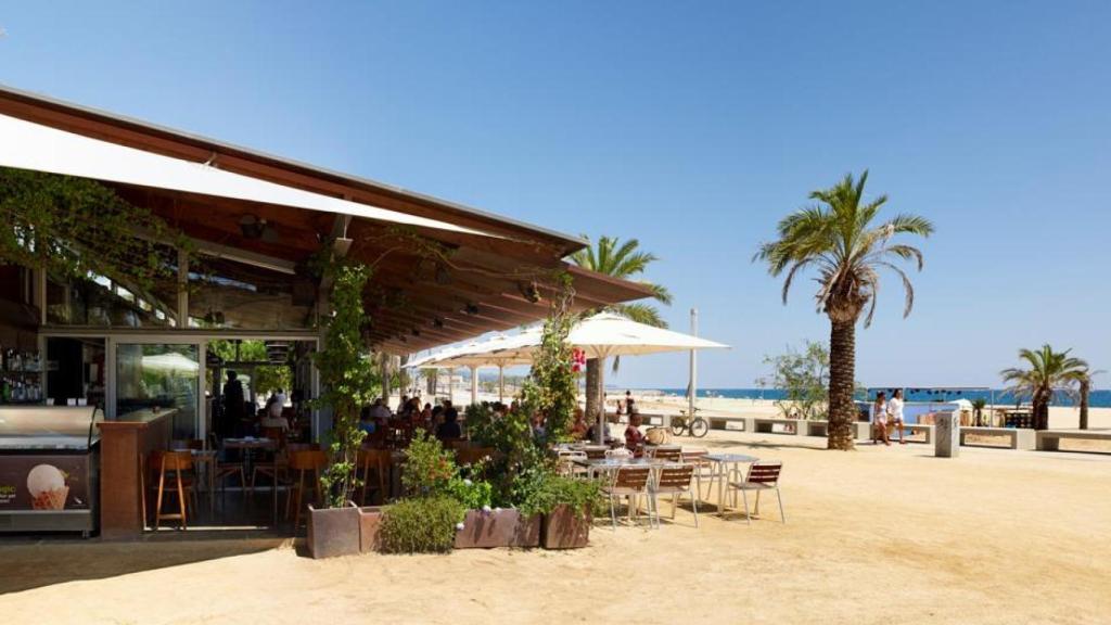 El Lasal del Varador, arroces sostenibles a pie de playa.