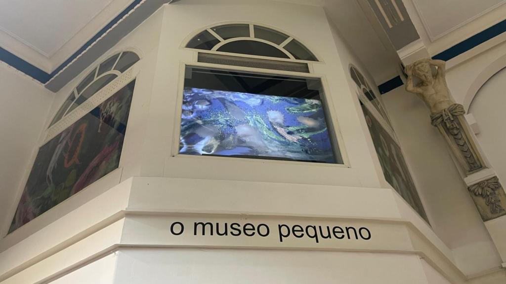 O Museo Pequeno