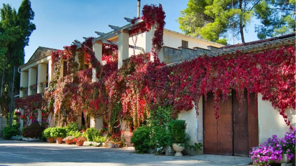 Masía en venta en Barri Batoi, Idealista.