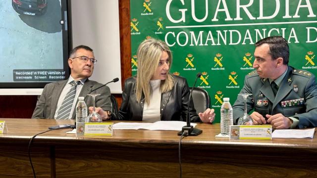 La delegada del Gobierno de España en Castilla-La Mancha, Milagros Tolón, anuncia una macro operación contra la droga en la provincia de Toledo.