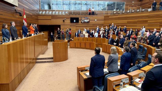 Pleno de las Cortes de Castilla y León