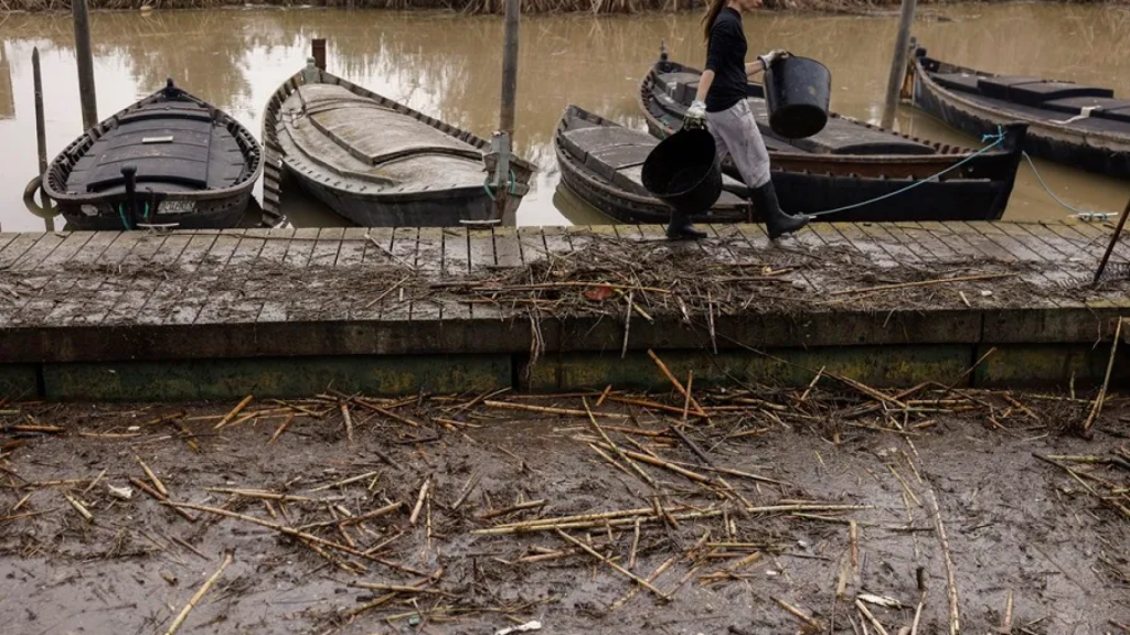 Una mujer durante las labores de limpieza del puerto de la Albufera en Catarroja. EFE/Kai Forsterling