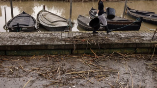 Una mujer durante las labores de limpieza del puerto de la Albufera en Catarroja. EFE/Kai Forsterling