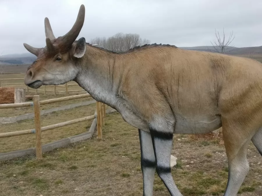 Safari por la Sabana del Turoliense en El Pobo.
