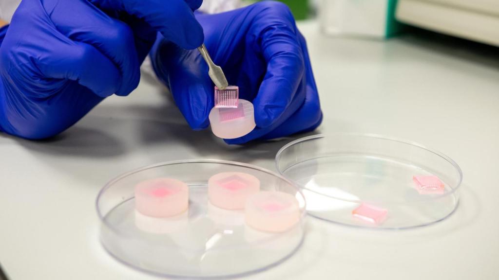 Parche con microagujas para curar heridas crónicas