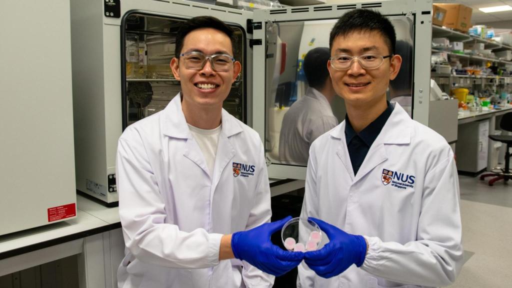El profesor adjunto Andy Tay (izquierda) y el Dr. Le Zhicheng (derecha)