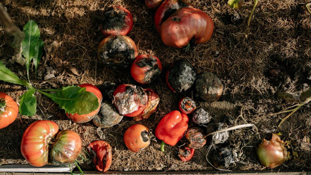 Residuos alimenticios.