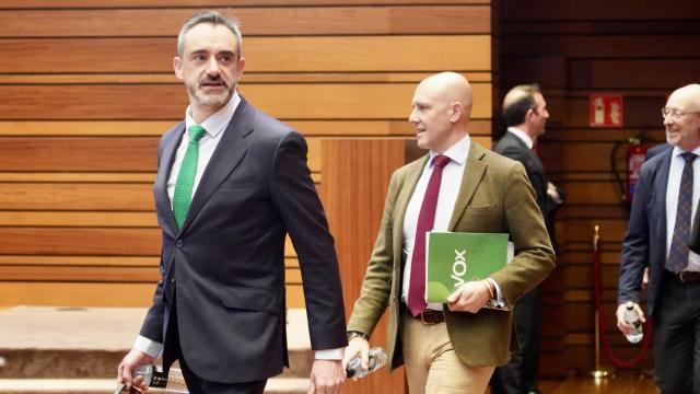 El portavoz de Vox, David Hierro, seguido de los viceportavoces, Carlos Menéndez e Iñaki Sicilia, en el pleno de esta semana