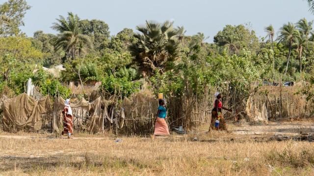 Las mujeres que lideran el cambio en África