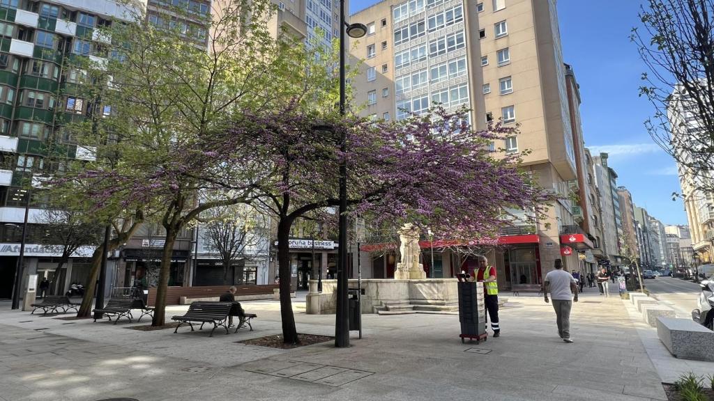 Uno de los ejemplares.