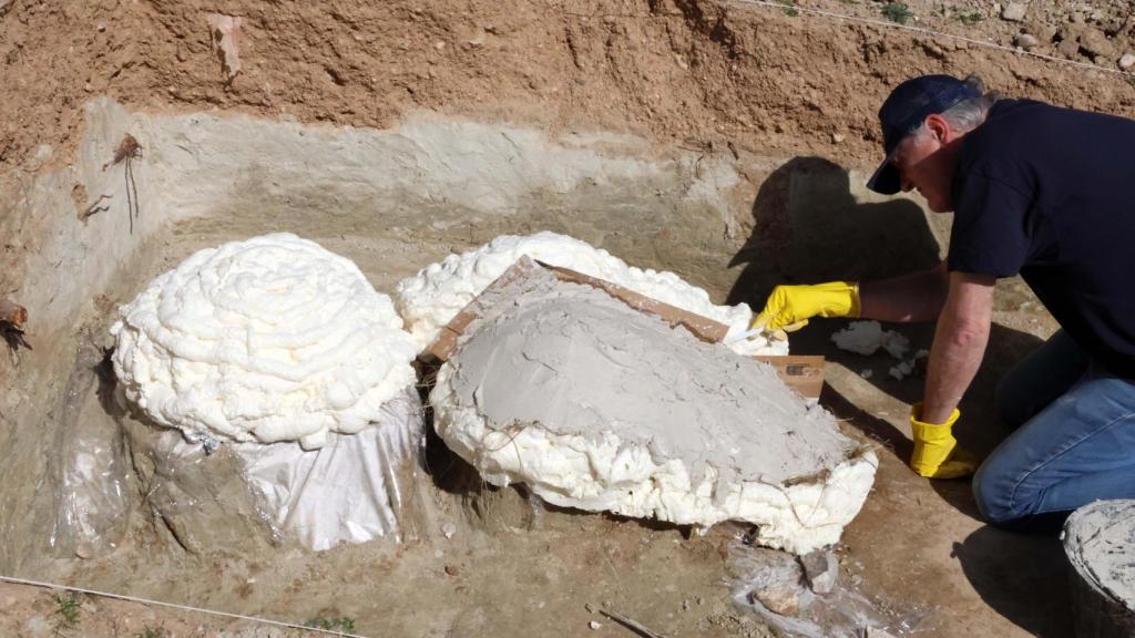 Trabajos de extracción de los colmillos del mastodonte