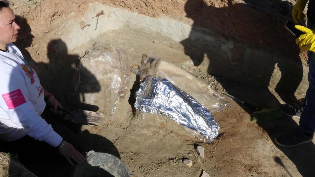 Trabajos en Las Contiendas tras dar con el mastodonte