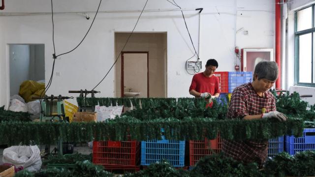 Empleados trabajan para producir árboles de Navidad artificiales en una fábrica en Shaoxing, provincia de Zhejiang, China, 9 de abril de 2025.