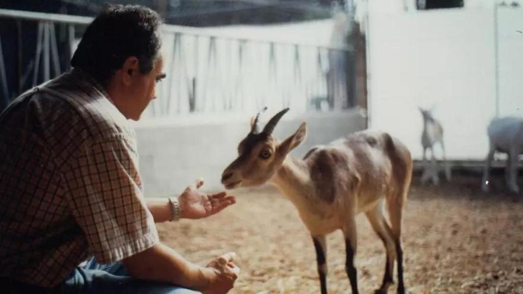 José Folch fue el director del proyecto que consiguió la 'desextinción' del bucardo.