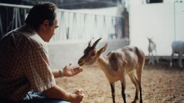 José Folch fue el director del proyecto que consiguió la 'desextinción' del bucardo.