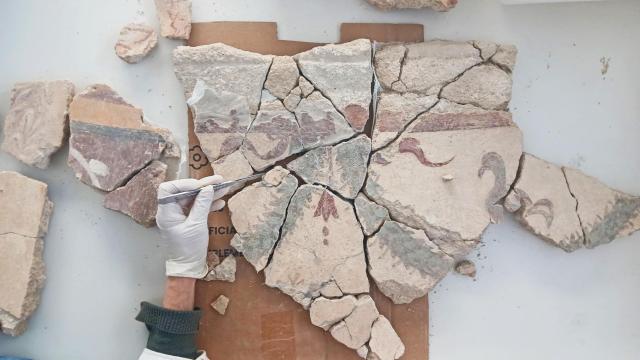 Imagen de algunas de las pinturas.