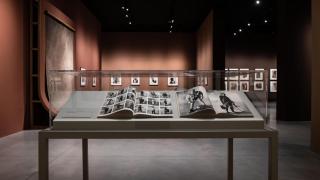 Parte de la exposición