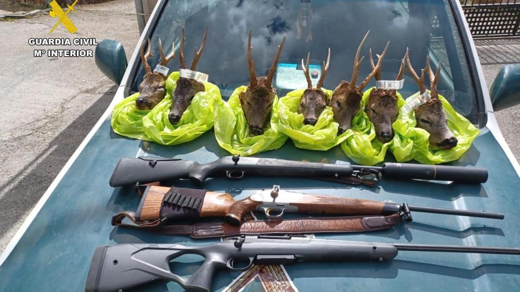 La Guardia Civil pilla a dos cazadores que llevaban siete cabezas de corzo y un sarrio en Fiscal (Huesca)