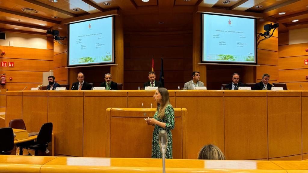 La jornada 'La industria de transformación de Plásticos en España: equilibrio entre regulación y competitividad', organizada por la Anaip.