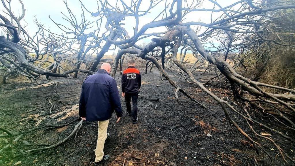 Zona quemada en el incendio de 2024. EE
