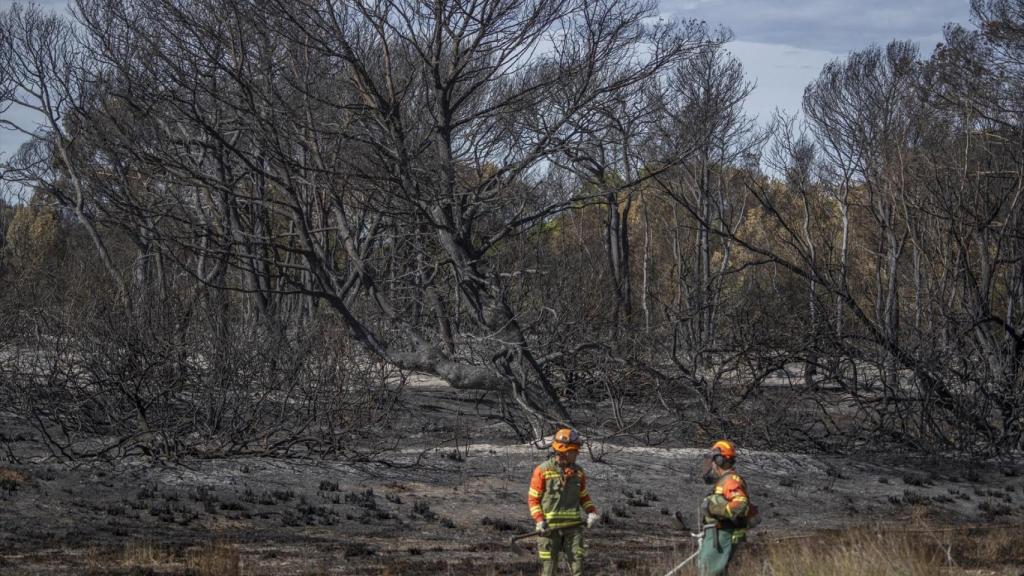 Bomberos frente a vegetación afectada. Jorge Gil / EP