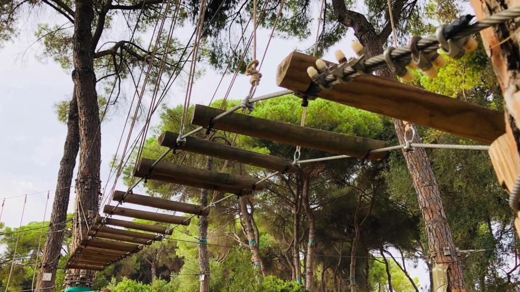 Bosque suspendido, en el Centro de Naturaleza de La Juliana.
