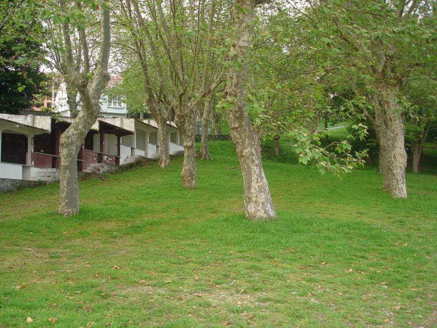 Típico “campo da feira” gallego. ¿O es un bosque sagrado? https://es.wikipedia.org