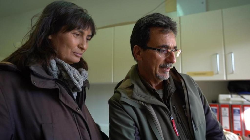 'El escarabajo verde'.