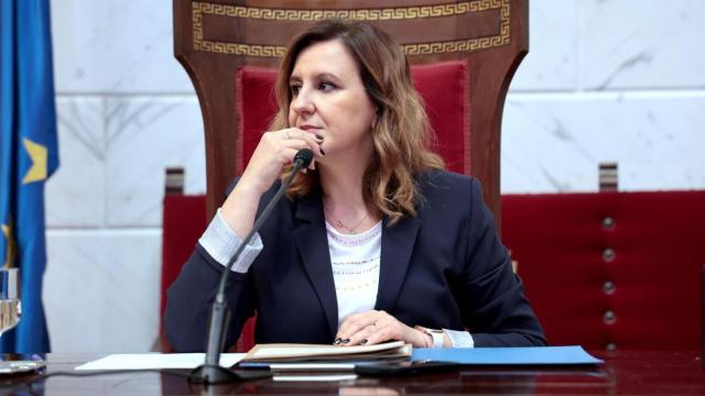 Imagen del pleno extraordinario celebrado en el Ayuntamiento de Valencia. EE