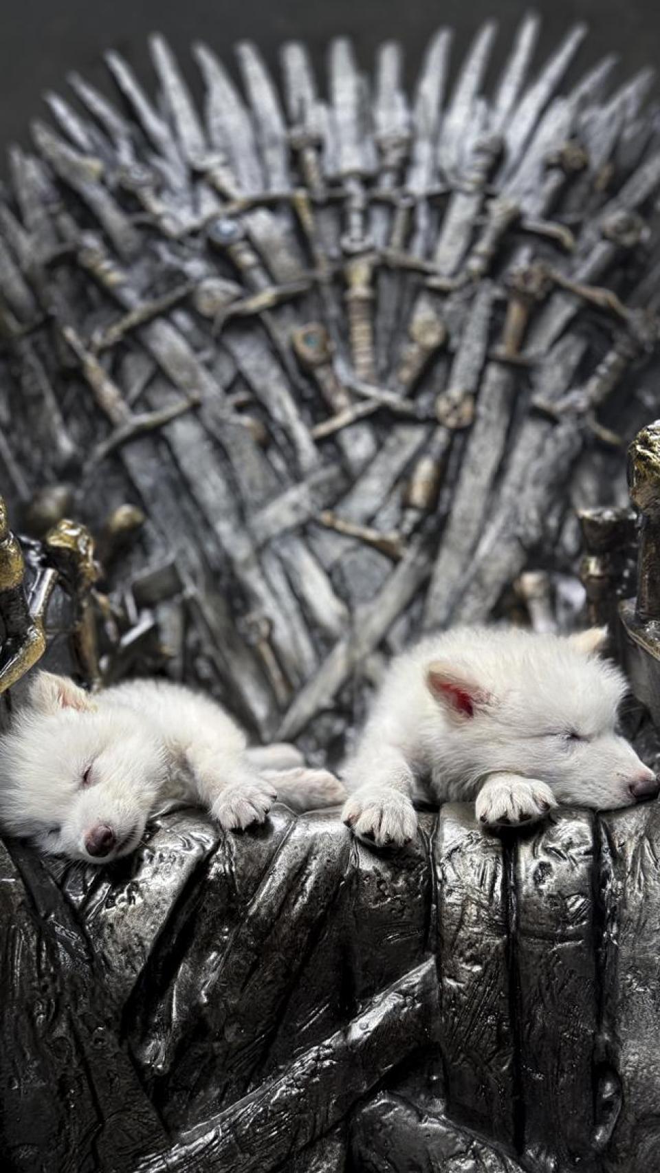 Remus y Romulus sobre el trono de hierro de 'Juego de Tronos'.