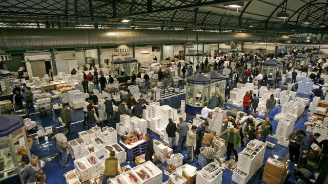 Panorámica aérea de puestos de pescado en Mercasevilla.