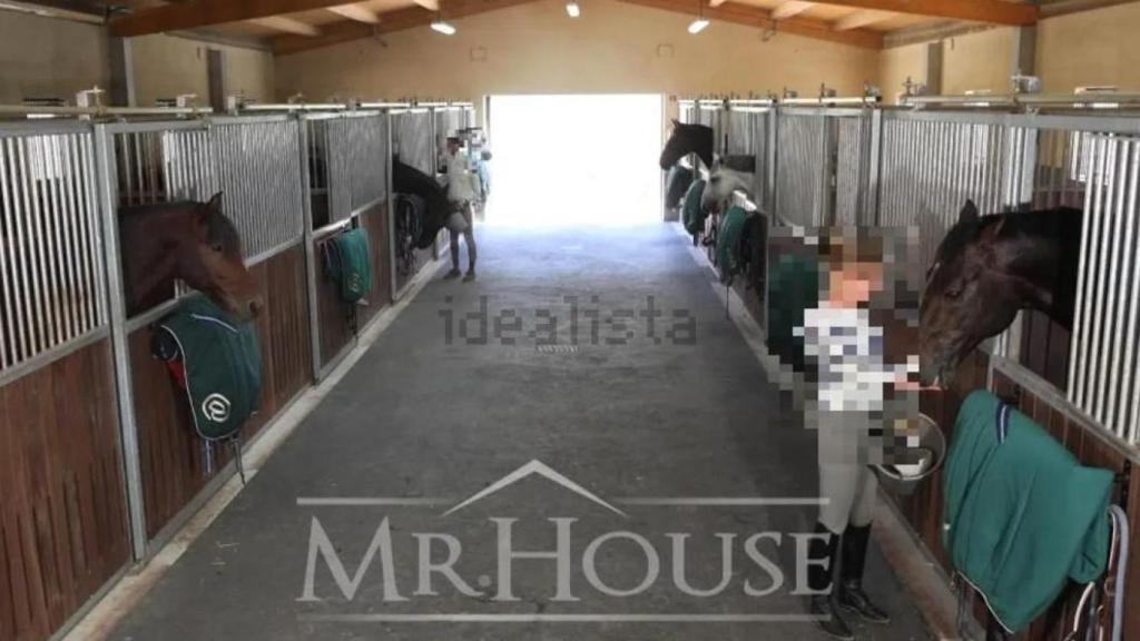 Finca en venta en los Montes de Toledo. Foto: Idealista.