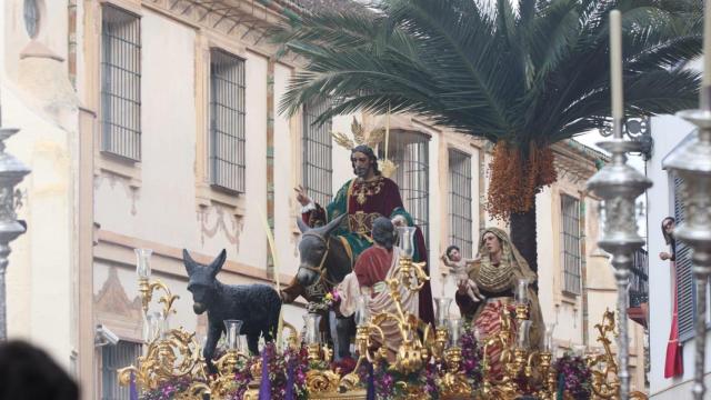 Una imagen de Pollinica.