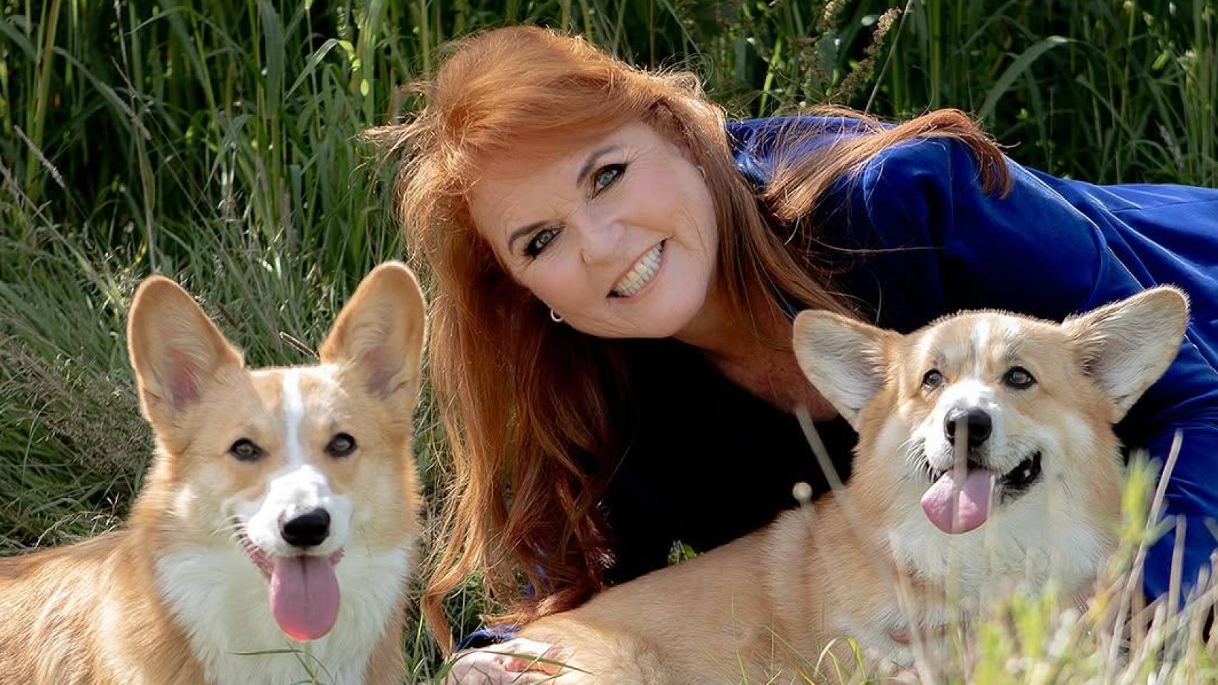 Sarah Ferguson, con los corgis de la Reina Isabel II, en las redes sociales.
