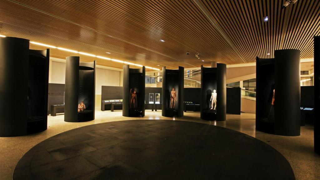 Museo de la Evolución Humana,