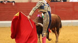 XI Alfarero de Plata 2025