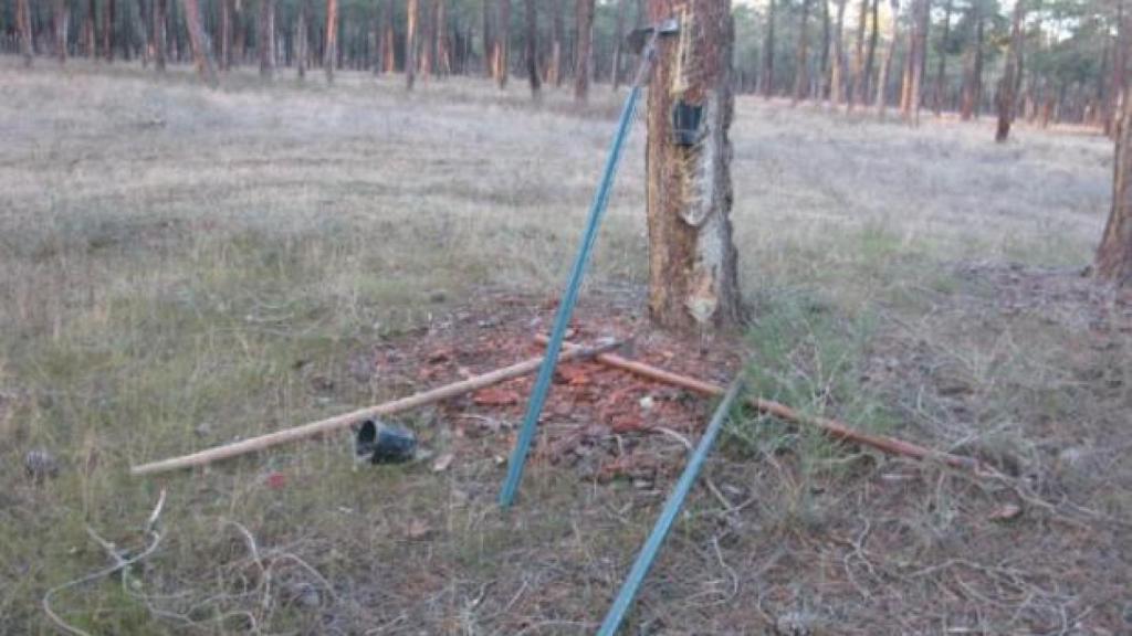 Herramientas utilizadas por los trabajadores para extraer la resina