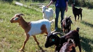 Screenshot_2024-06-04-12-54-08-560_com.instagram.android (1)