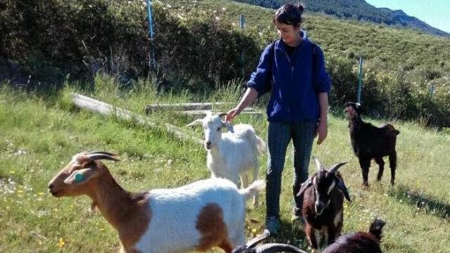 Clara Benito, fundadora de Entre Lobas, con su rebaño de cabras.