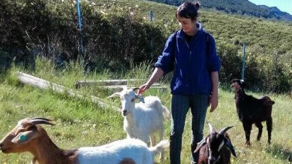 Clara Benito, fundadora de Entre Lobas, con su rebaño de cabras.
