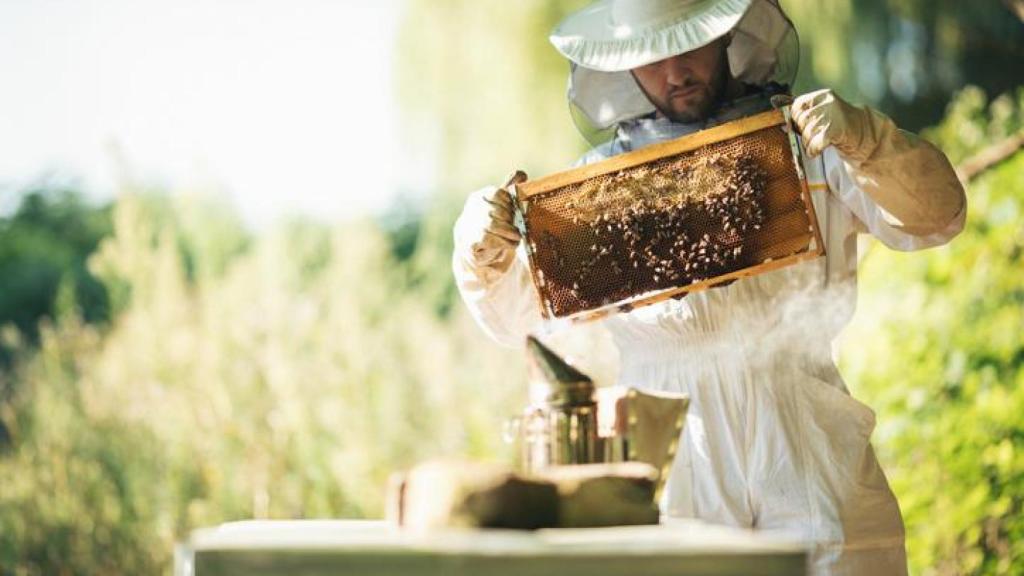 Una sustancia propia de las abejas.