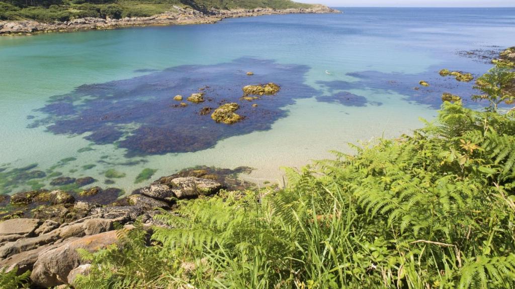 Agua cristalina en la playa de Chanteiro